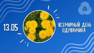 Всемирный день одуванчика Всемирный день одуванчика.